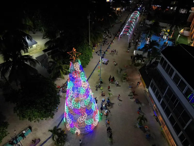 Alumbrado Navideño