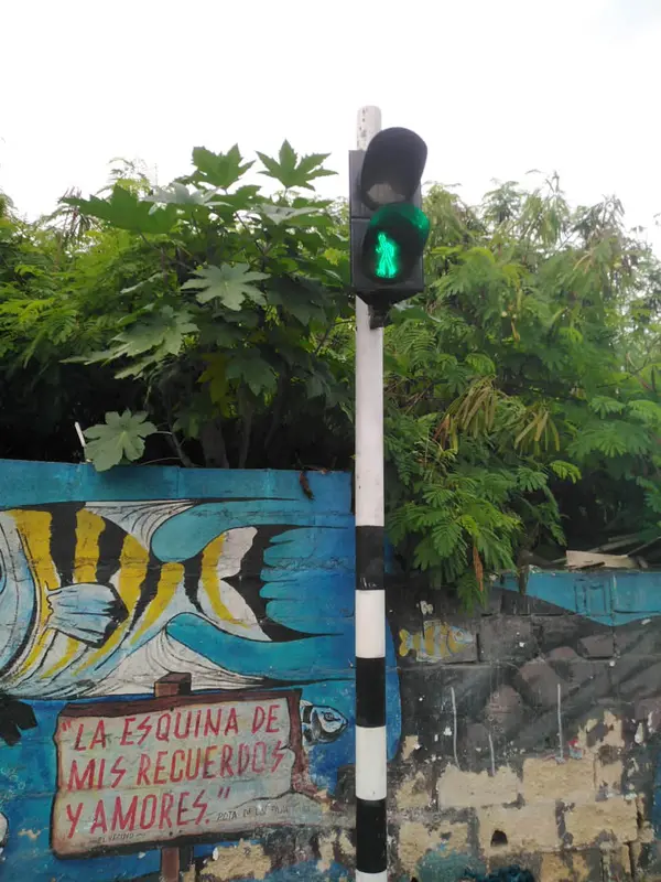 Fotografía de un proyecto de alumbrado público de EMDESAI (7)